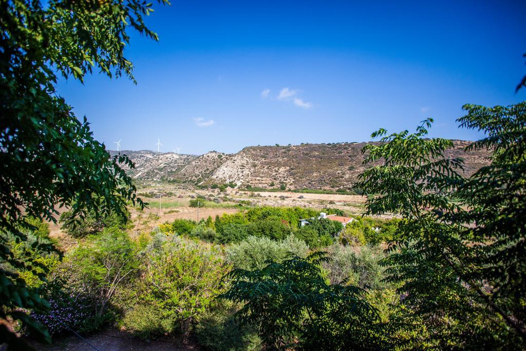 نيكوكليا Vasilias Nikoklis Inn المظهر الخارجي الصورة